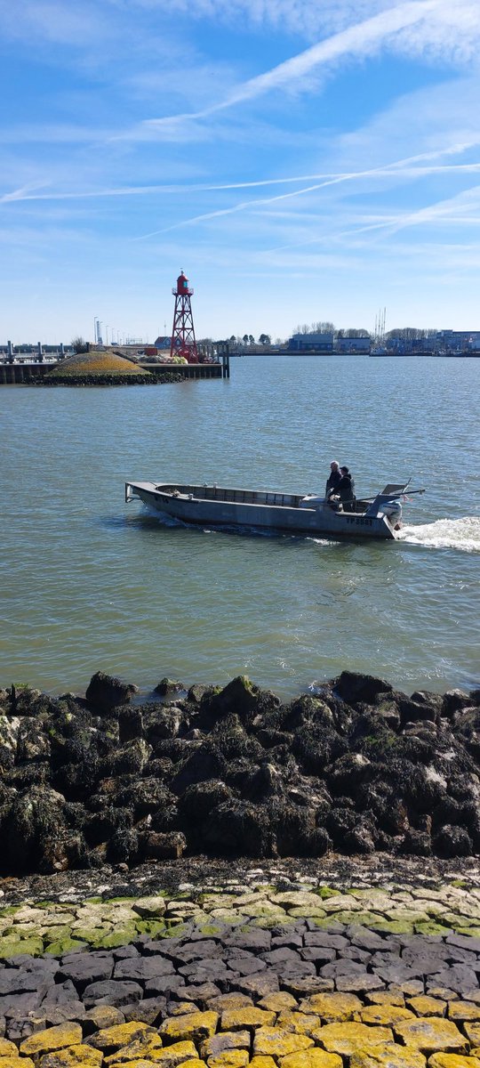 Cees Meeldijk tweet media