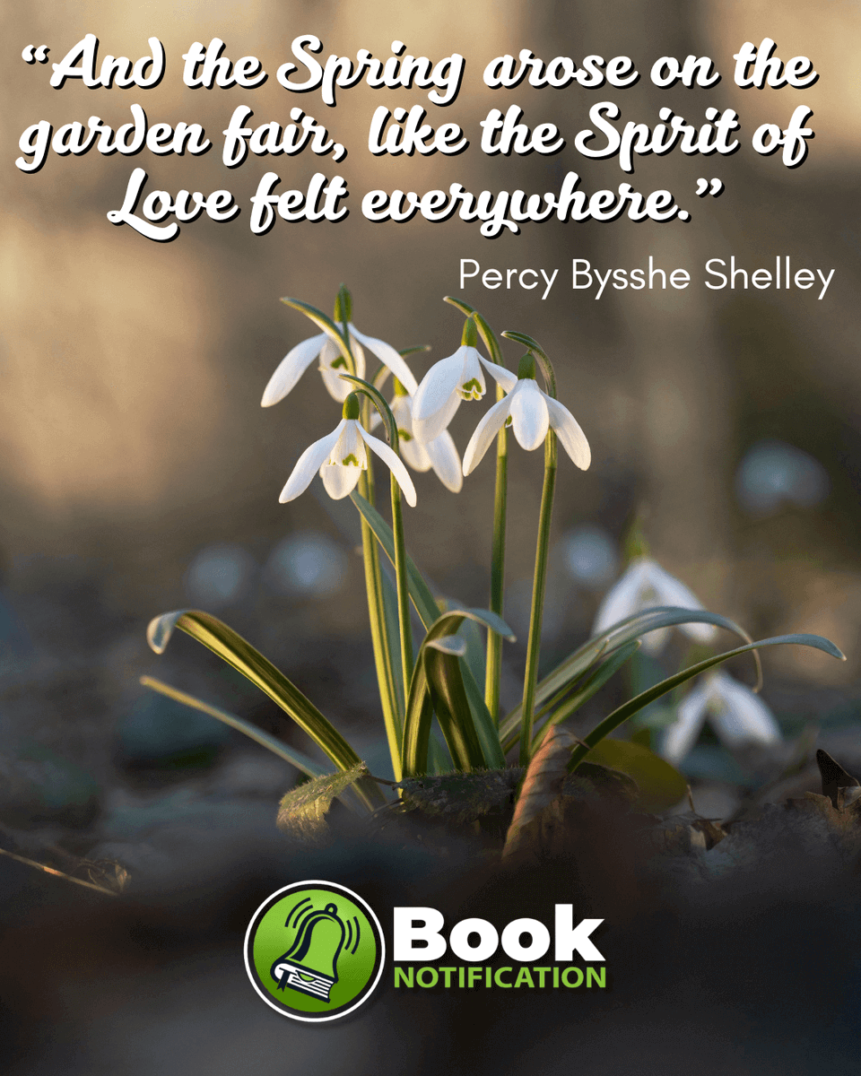 BookNotification tweet media