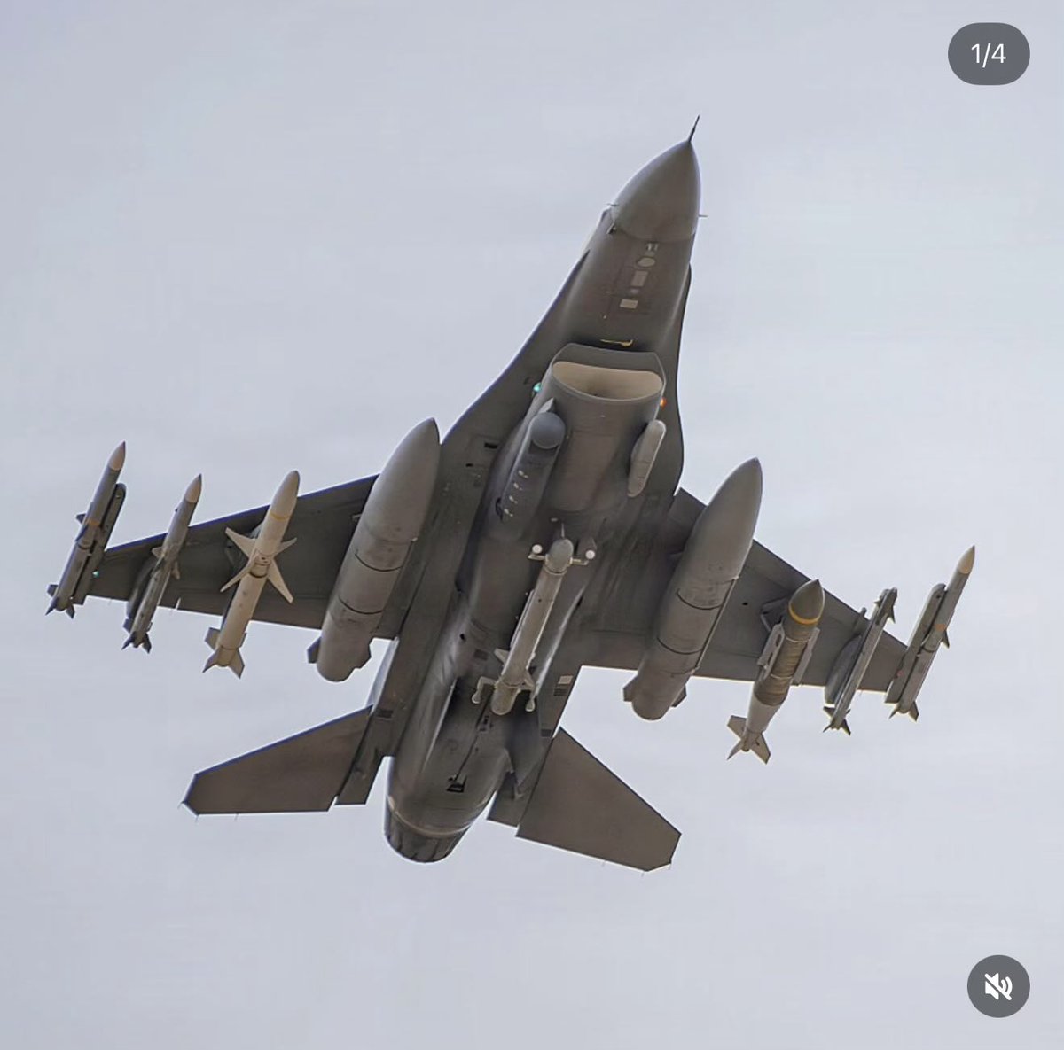 Ronald Dodson tweet media