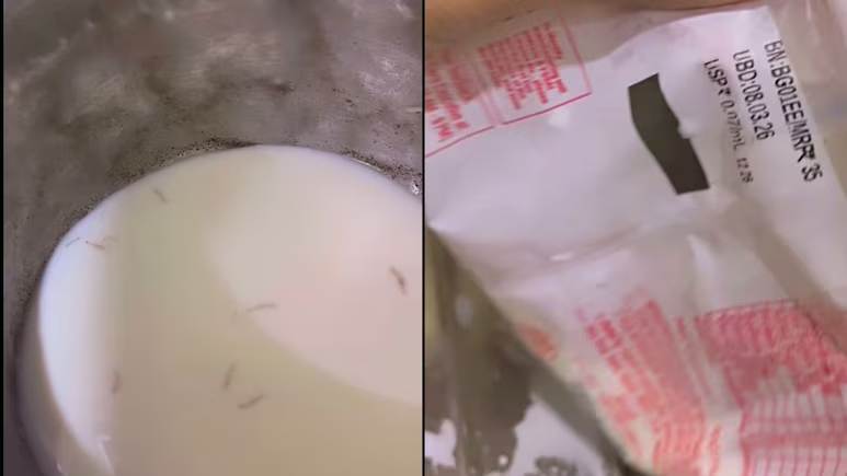 NDTVFood's tweet image. Viral Video: Woman Claims To Find Worms In Amul Milk, Company Responds
ndtv.com/food/viral-vid…
#viral #amul #milk