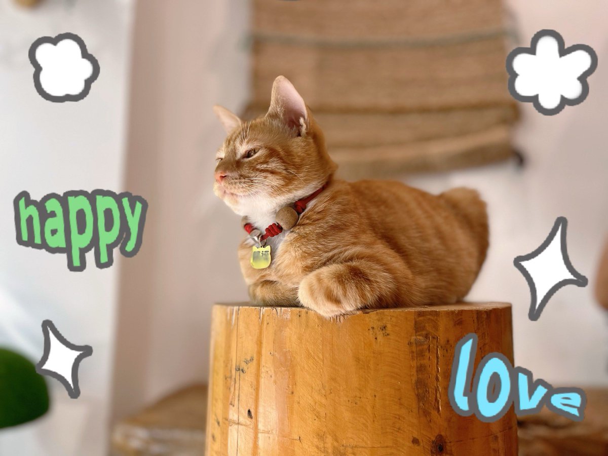 Jason Stough tweet media