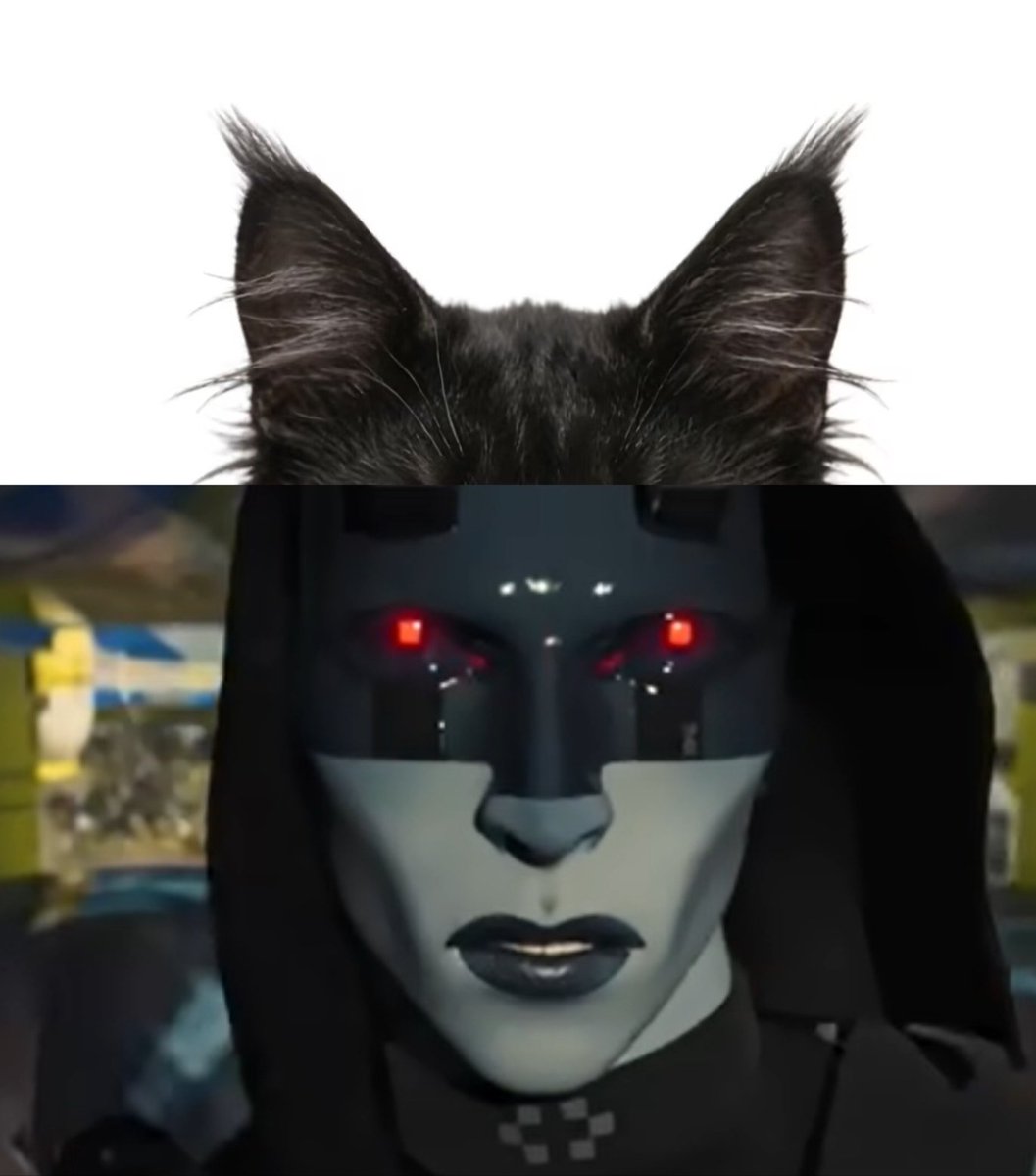 NorthstarCoffee tweet media