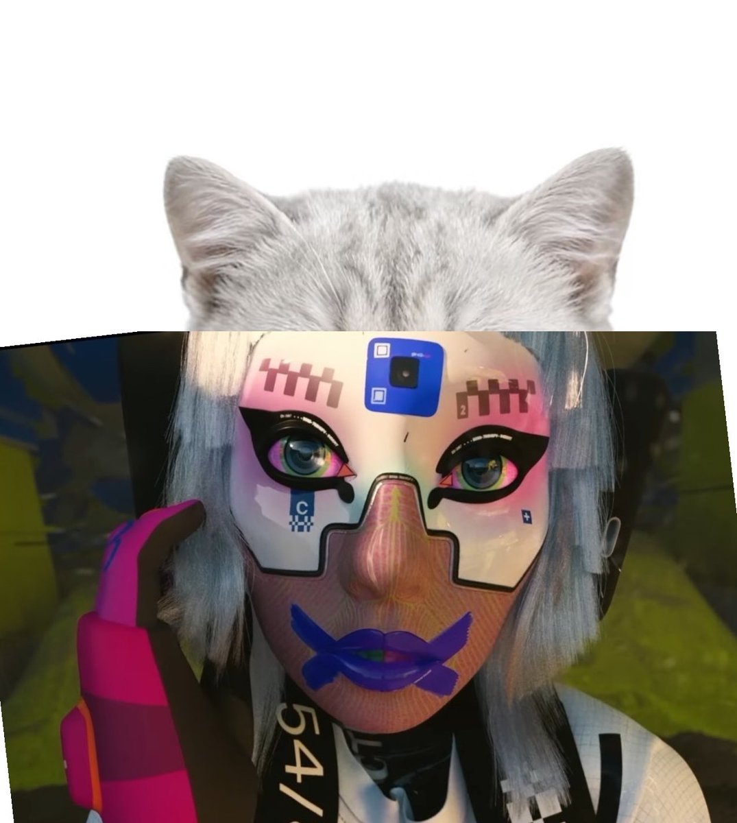 NorthstarCoffee tweet media