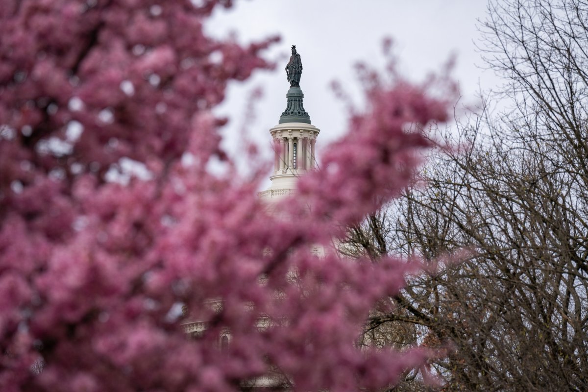 Architect of the Capitol (AOC) tweet media