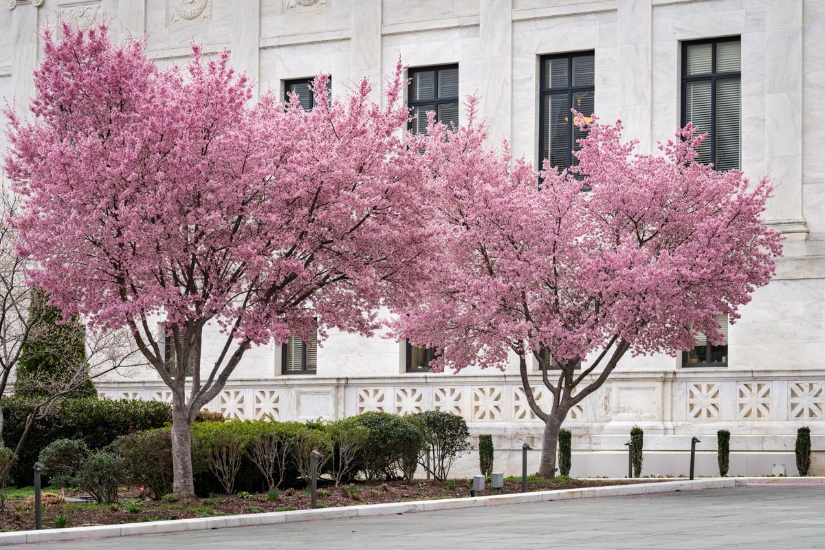 Architect of the Capitol (AOC) tweet media