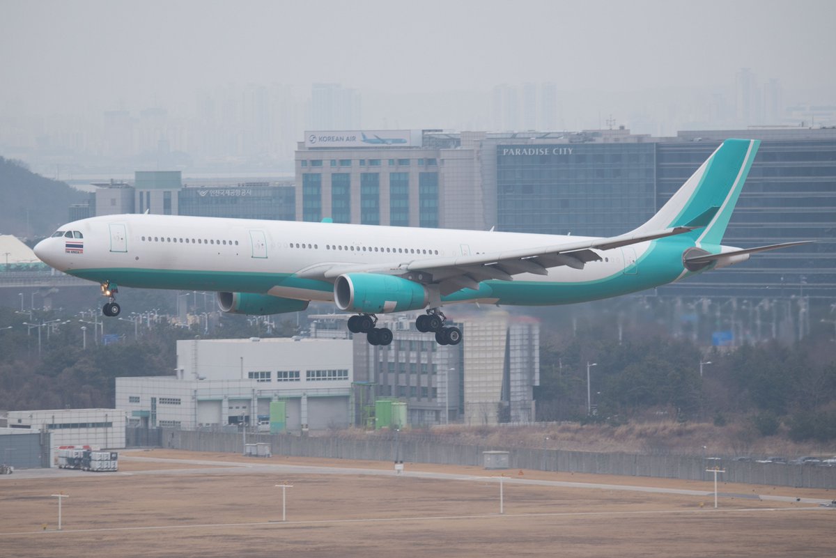 Springbok tweet media