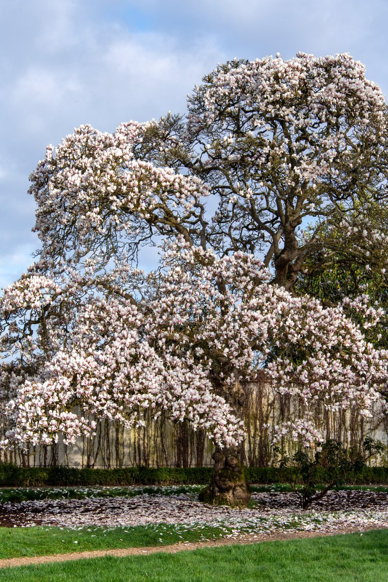 Château de Versailles tweet media