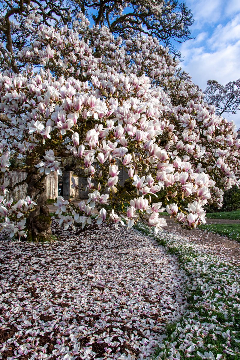 Château de Versailles tweet media
