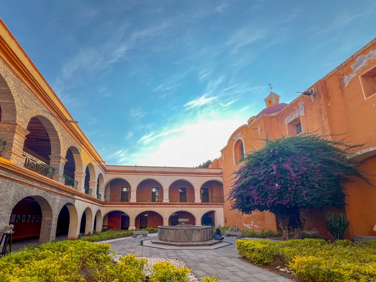 Silvia Argüello tweet media