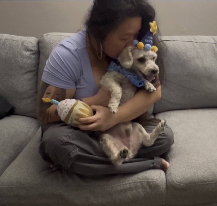 TinyPandaface tweet media