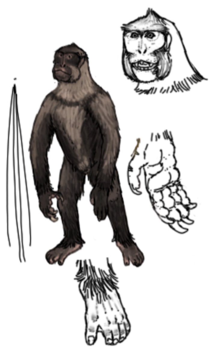 Feller .COMMS OPEN! tweet media