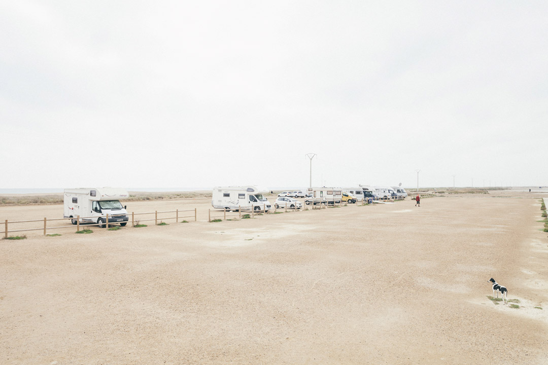 Observatori del Paisatge de Catalunya tweet media