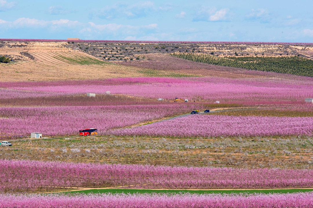 Observatori del Paisatge de Catalunya tweet media