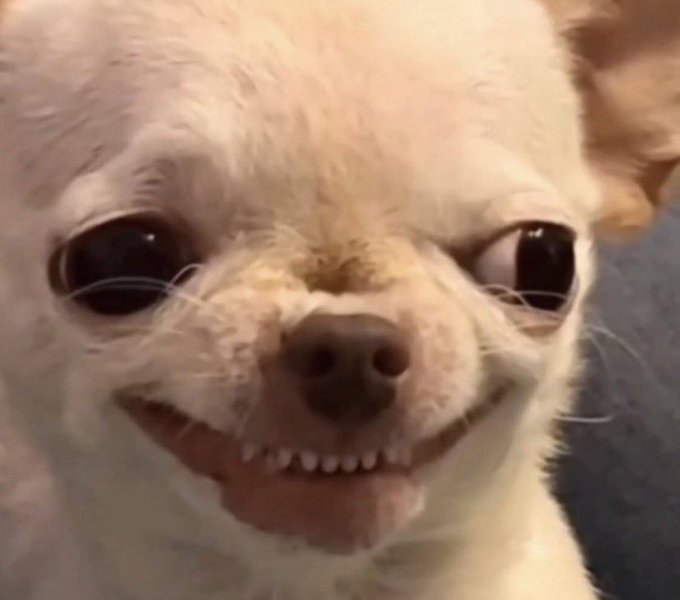 Upset Kid tweet media