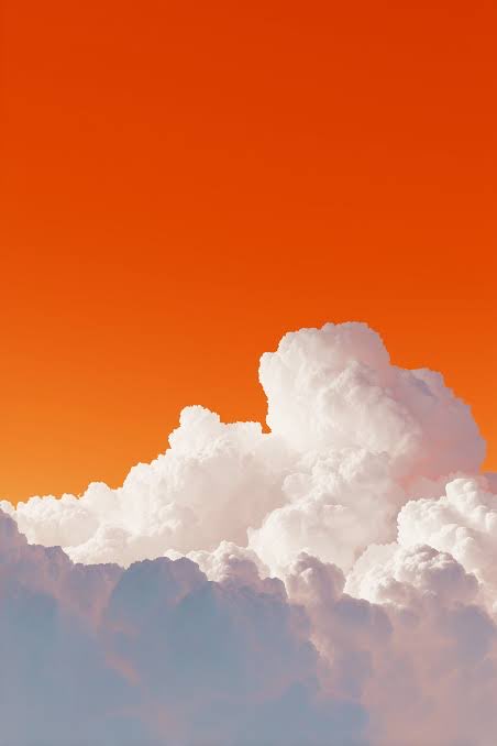 شنسب پکتیک tweet media