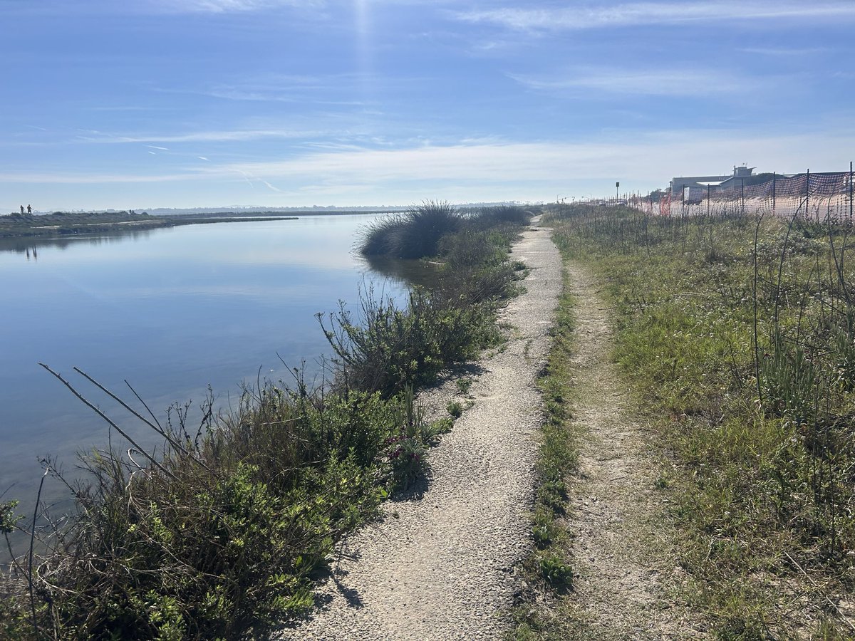 A walk by the wetlands, OC