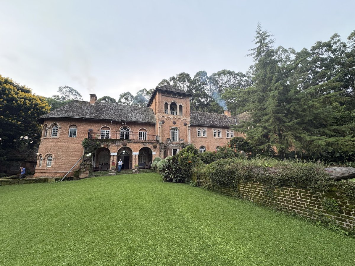 Rebecca Terzeon tweet media