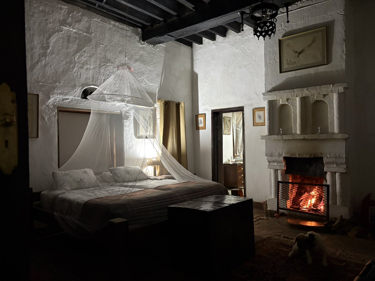 Rebecca Terzeon tweet media