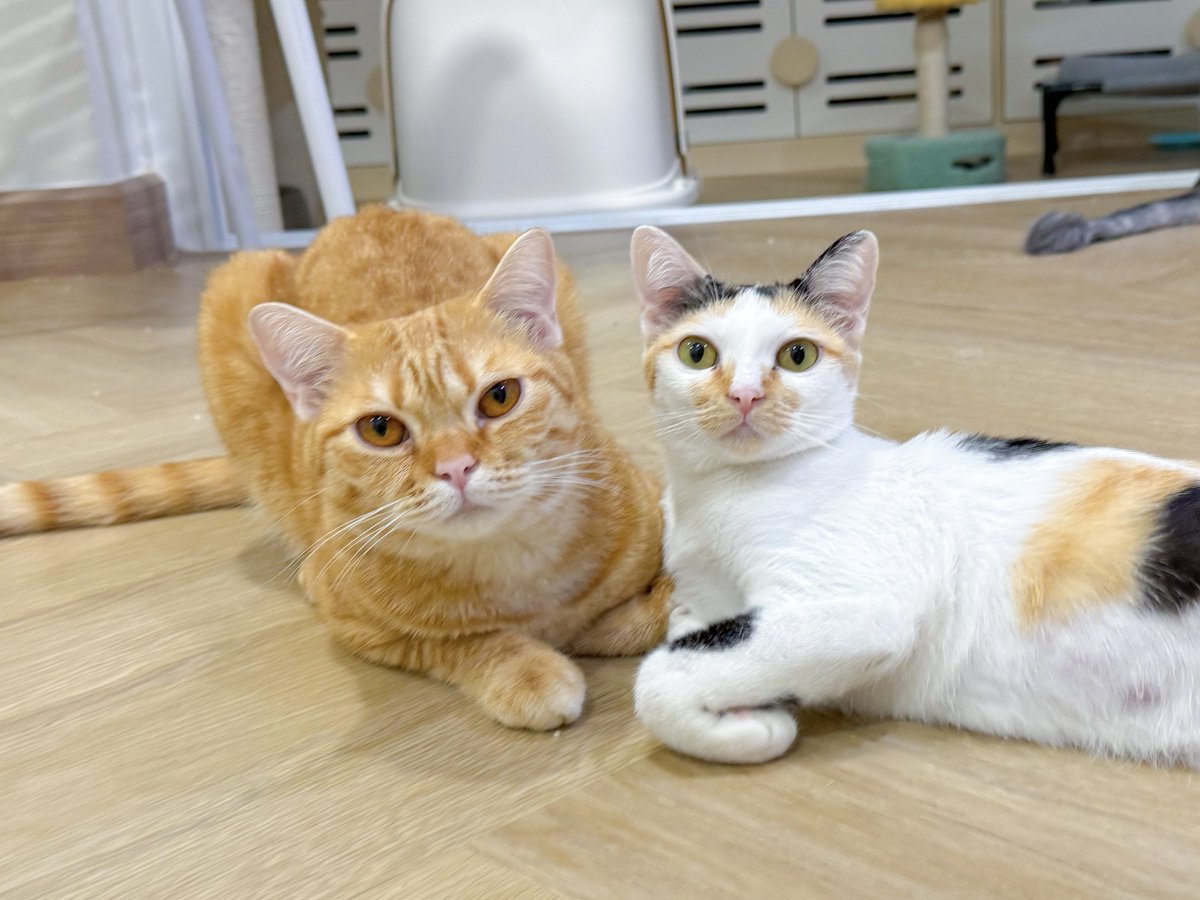 DNVP 💋 (Malonfamily) tweet media