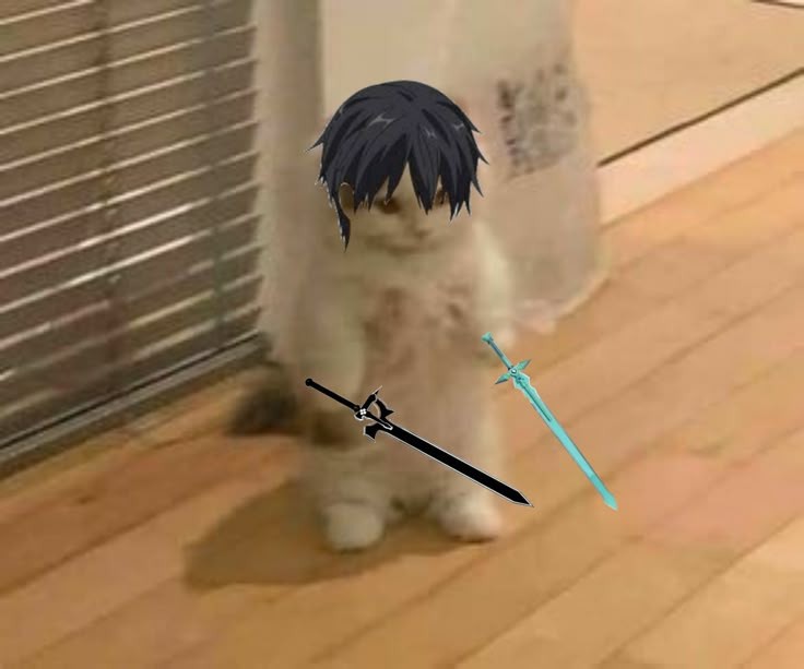 ๐ณโข์ค์ค์ค์ฌ๋๐ tweet media