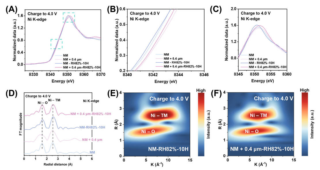 TranSpread tweet media
