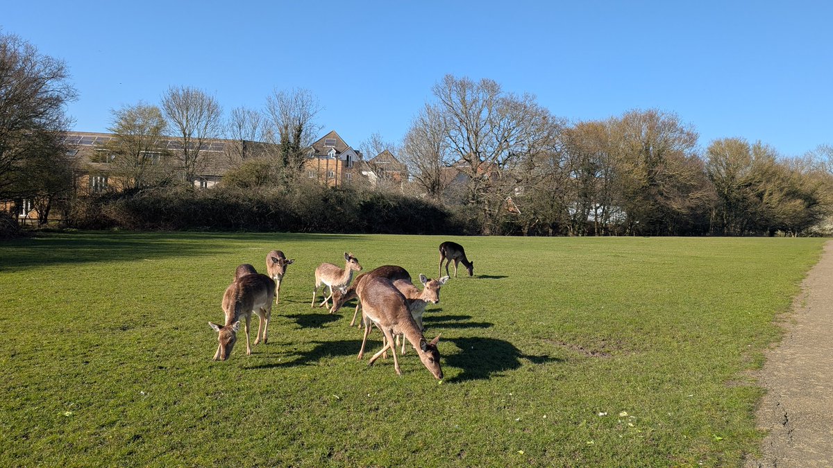 Sam Walsh ⚽️🍹 tweet media