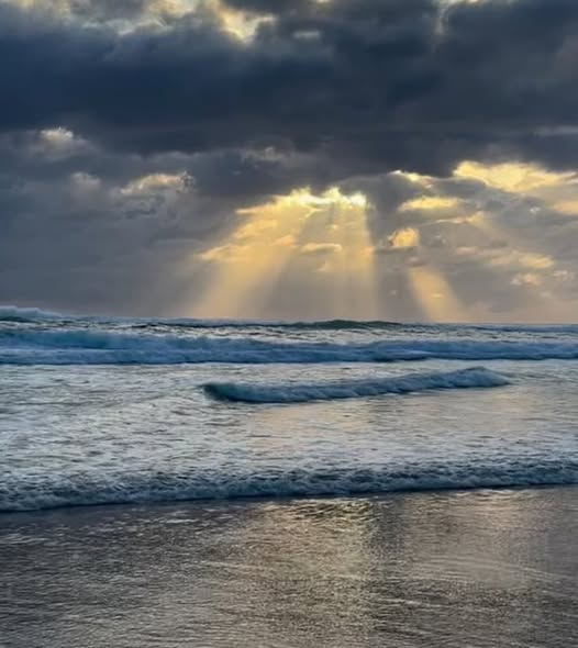 Carlos Rivera Ortega tweet media