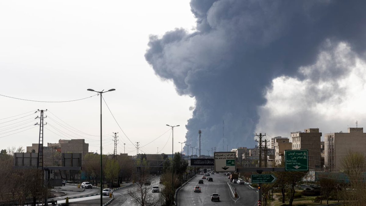 THE ISLANDER tweet media