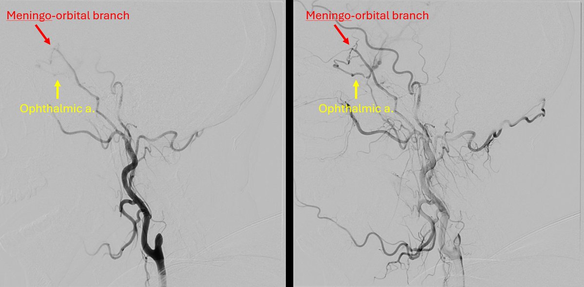 SNIS Info tweet media