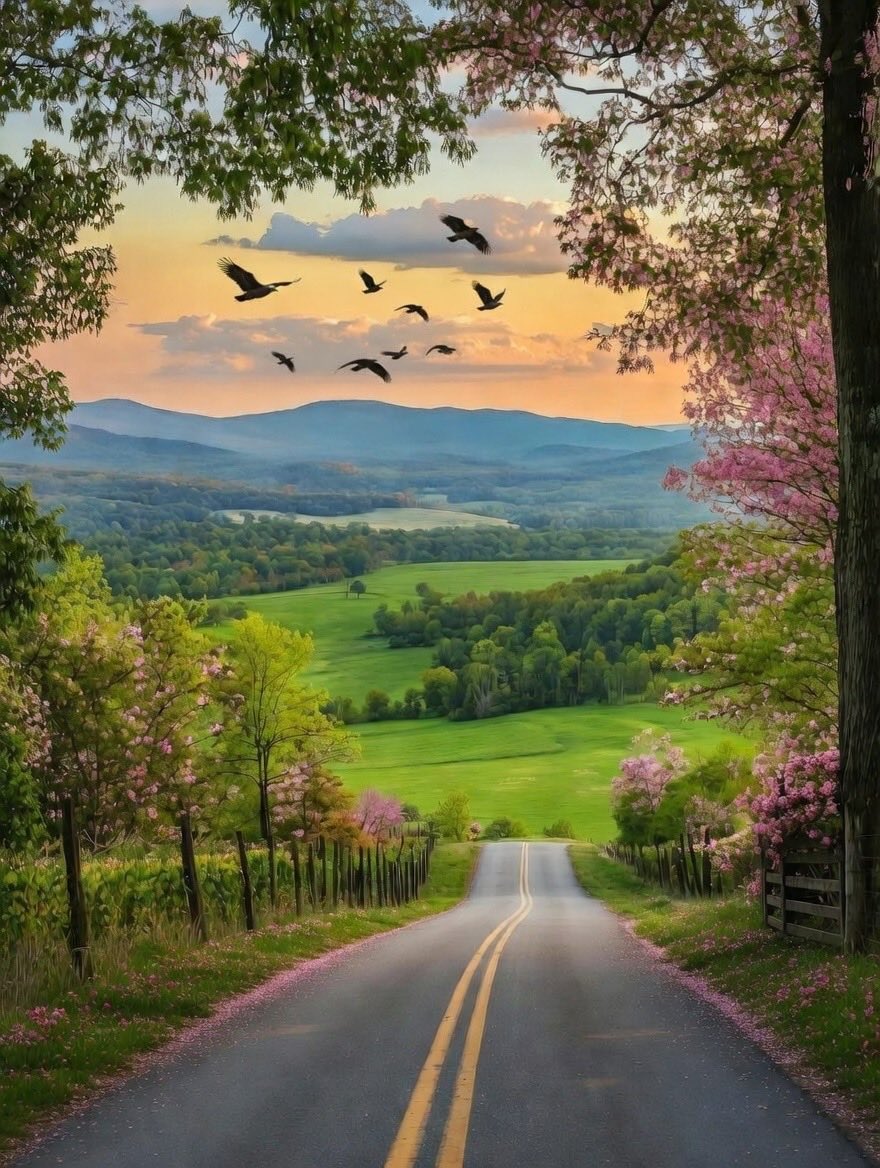 🔆 V 🔛 LOVE 🔆 tweet media