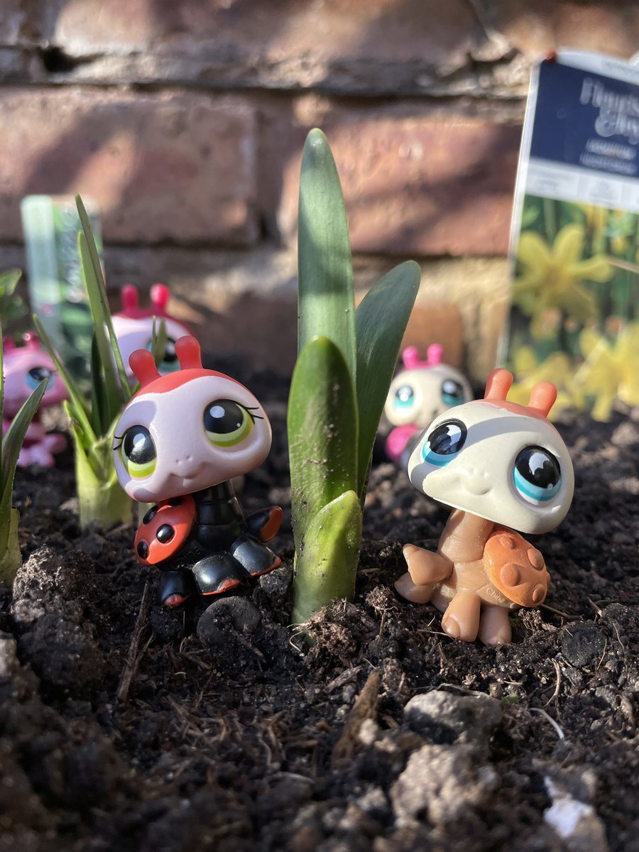 🐞girlbug🐞 tweet media