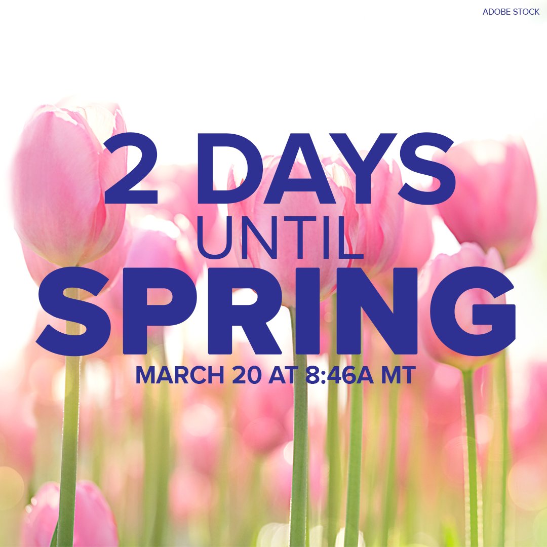 9NEWS Weather tweet media