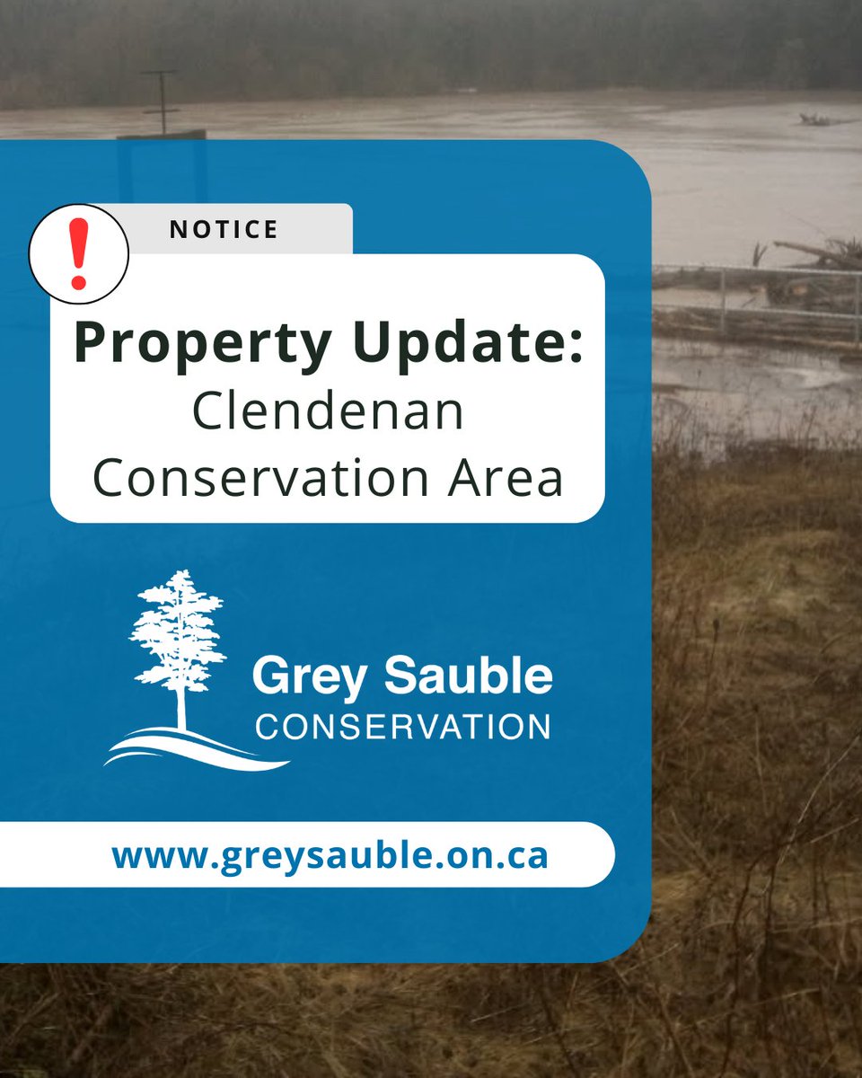 Grey Sauble CA tweet media