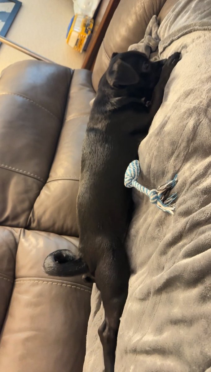 𝒜𝓃𝑔𝑒𝓁🪽 tweet media