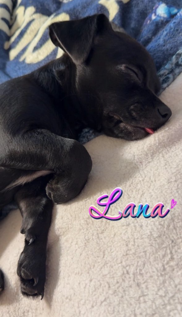 𝒜𝓃𝑔𝑒𝓁🪽 tweet media