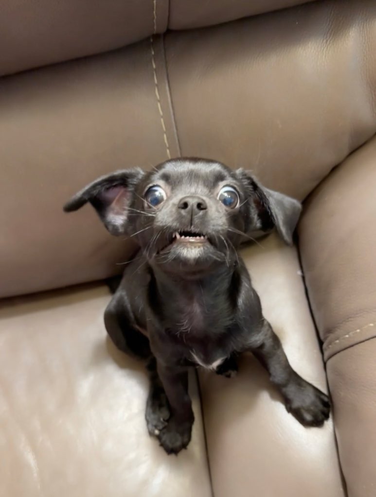 𝒜𝓃𝑔𝑒𝓁🪽 tweet media