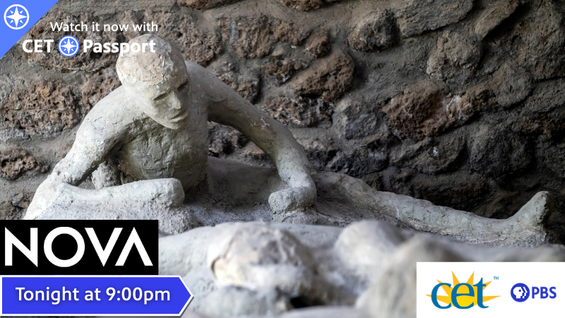 CET - TV tweet media