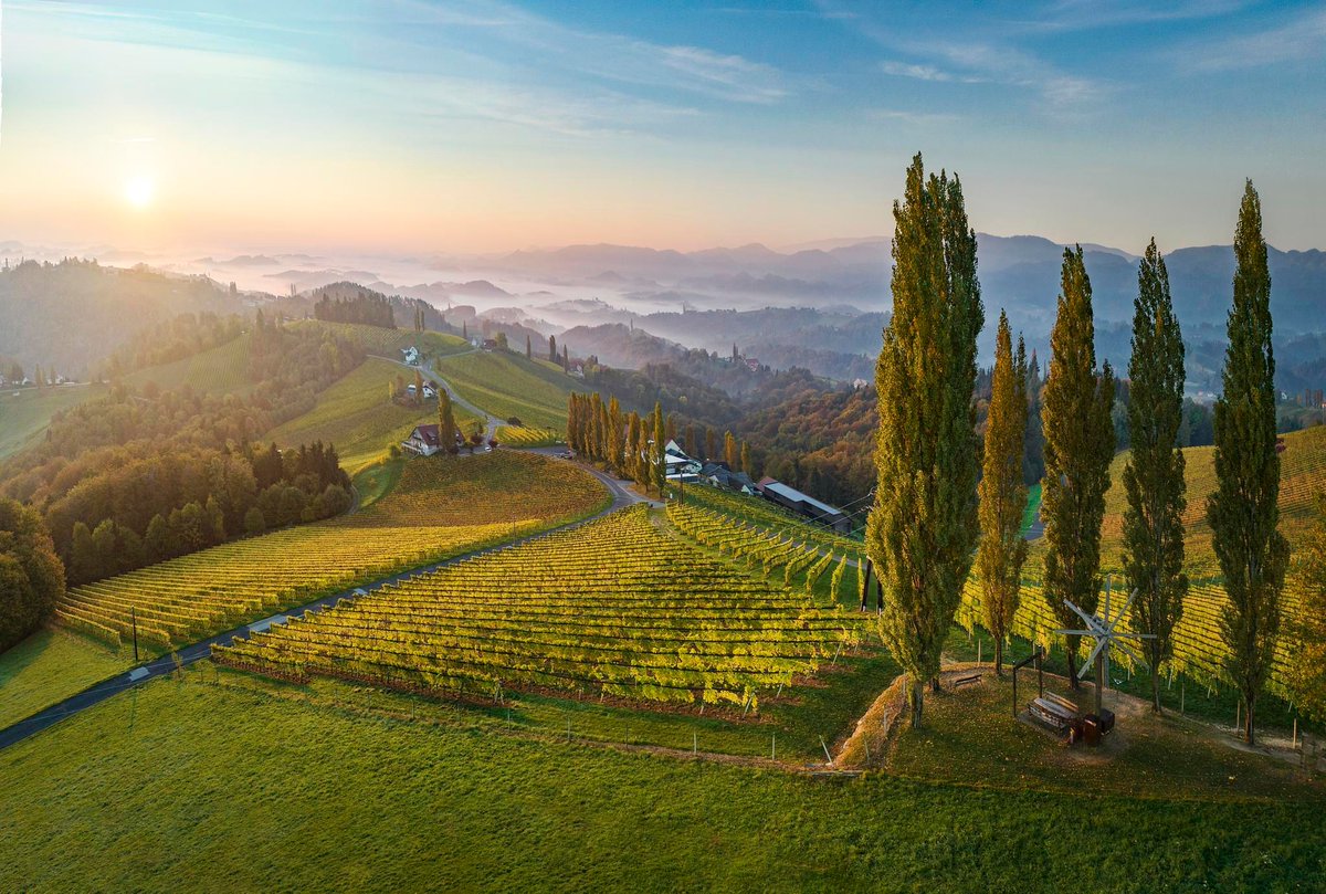 AustrianwineUSA's tweet image. As we near the end of the winter, we suggest imagining yourself walking through this beautiful landscape with a crisp, floral glass of Muskateller. 

#AustrianWine
(c) Austrian Wine / WSNA 
*Supported by the European Union*