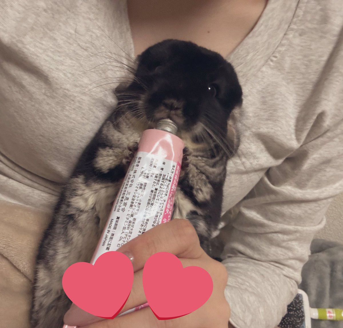 pppppino's tweet photo. 🦭 https://t.co/Gcm0fwzApB