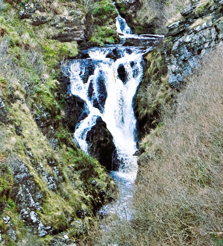 David Graham Scott Ⓥ tweet media