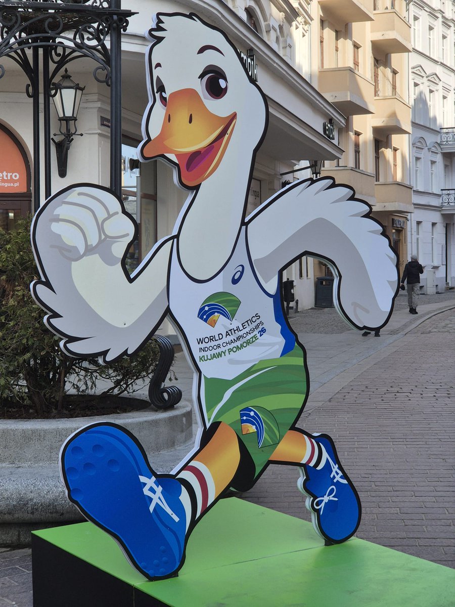 Track & Field Tours tweet media