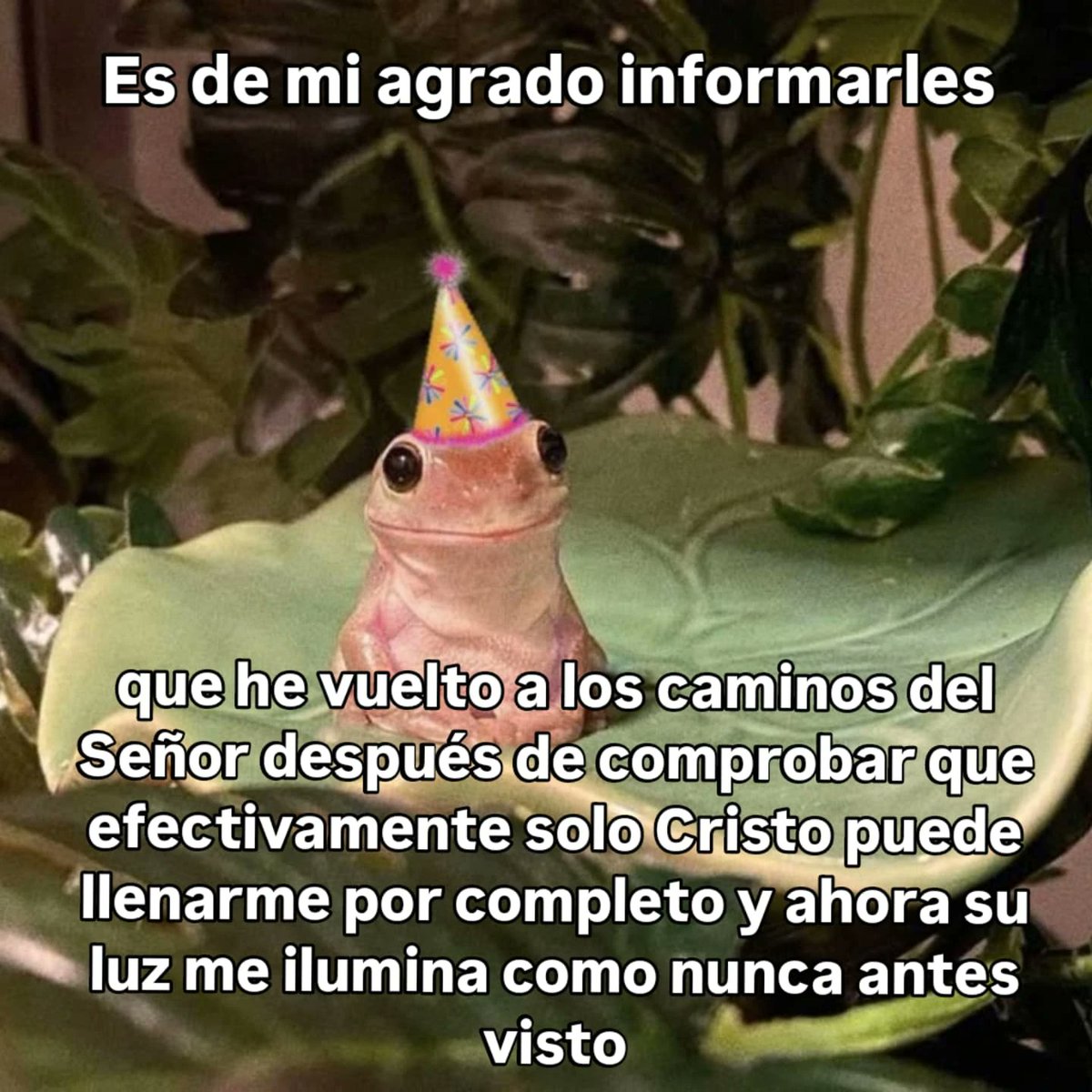 🤠✝️ tweet media