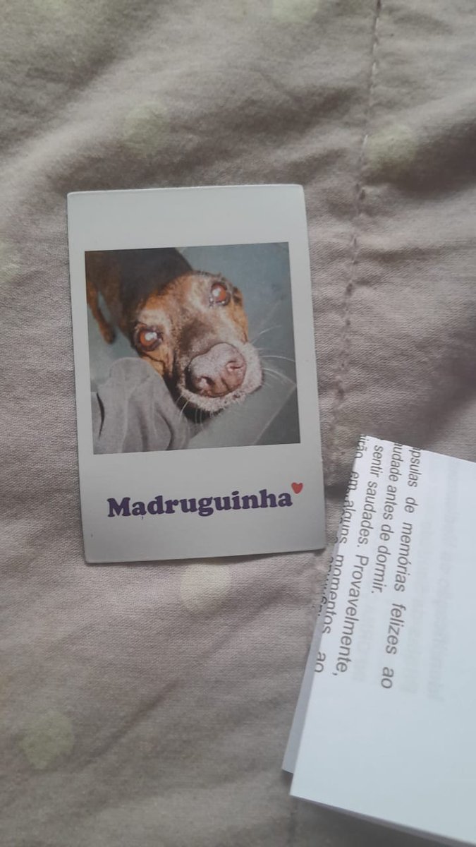 barb É FARMA USP 💊 tweet media