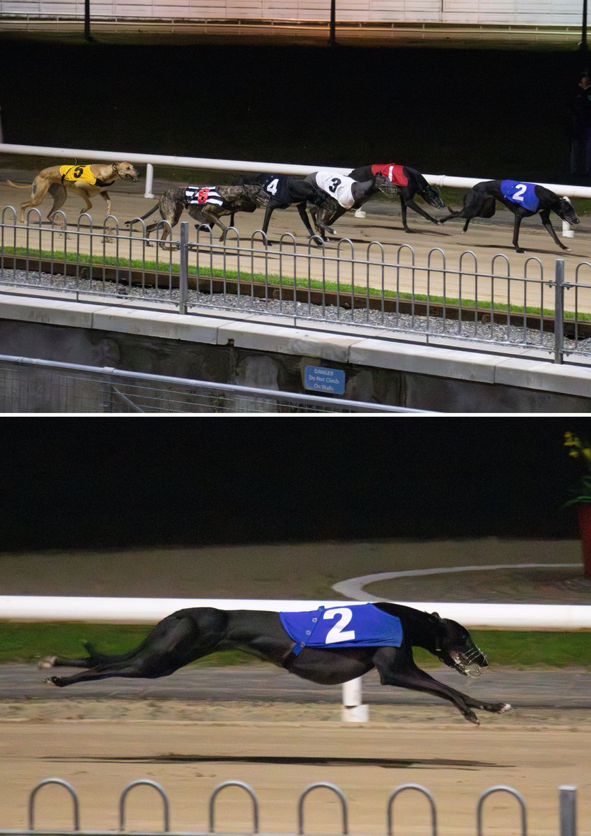 Curraheen Park Greyhound Stadium tweet media