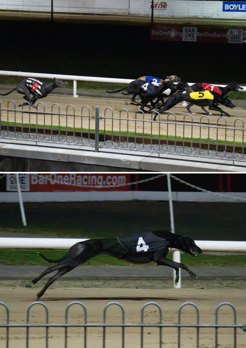 Curraheen Park Greyhound Stadium tweet media