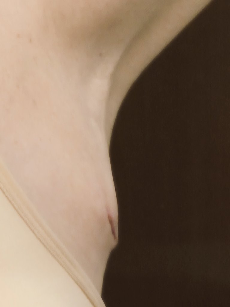 Everyday 🌻🇺🇦🌻 tweet media