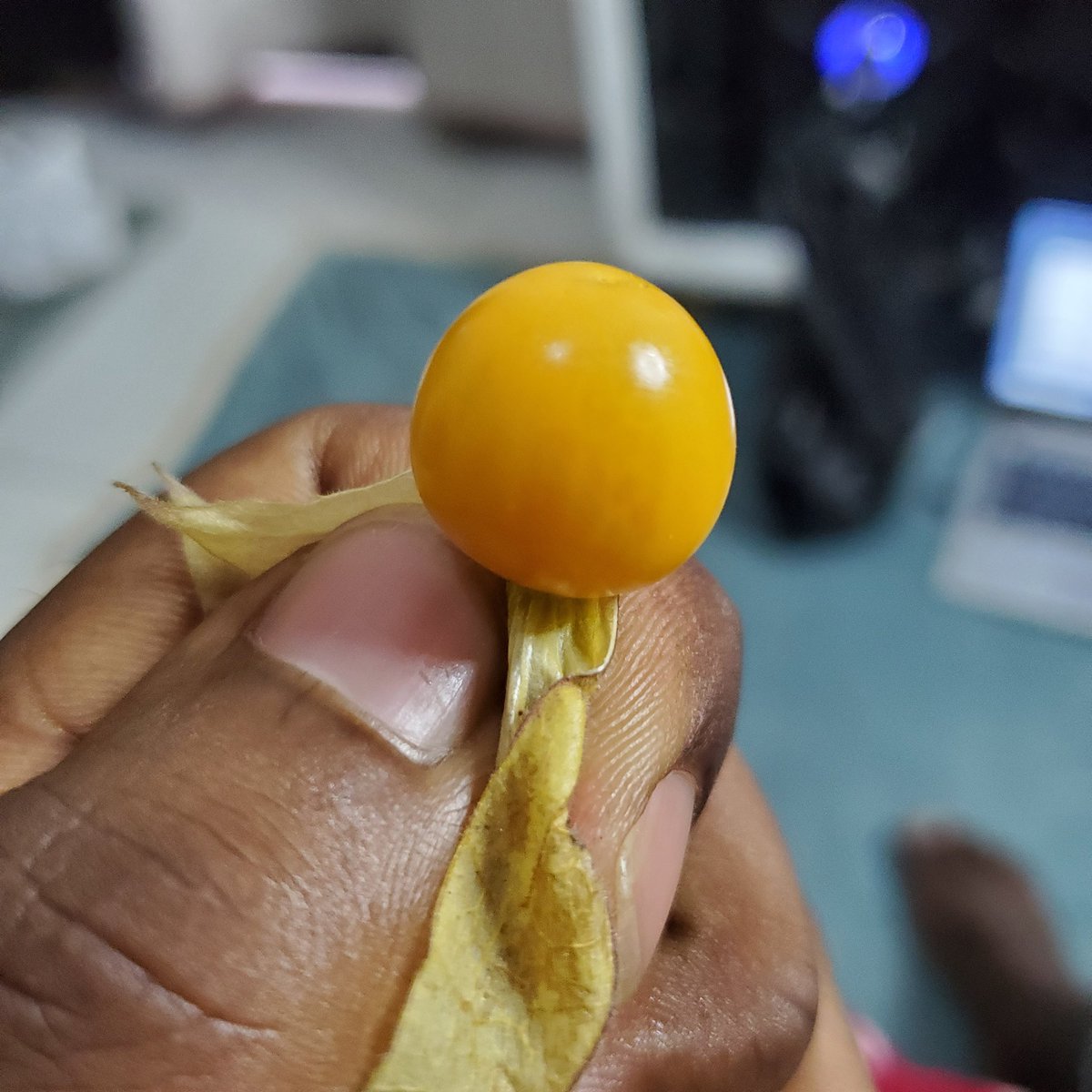 AM BEATS OF UGANDA tweet media