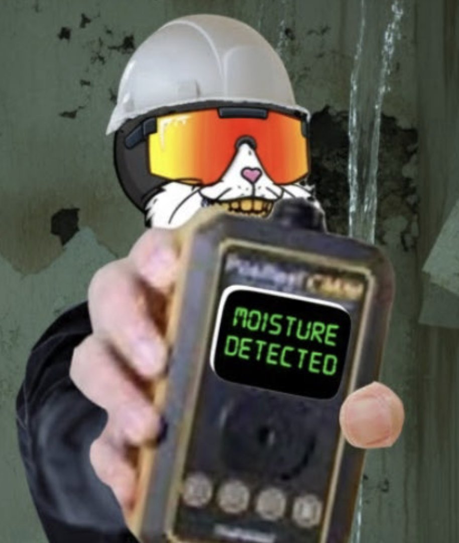 Cetarded🐱💦 tweet media