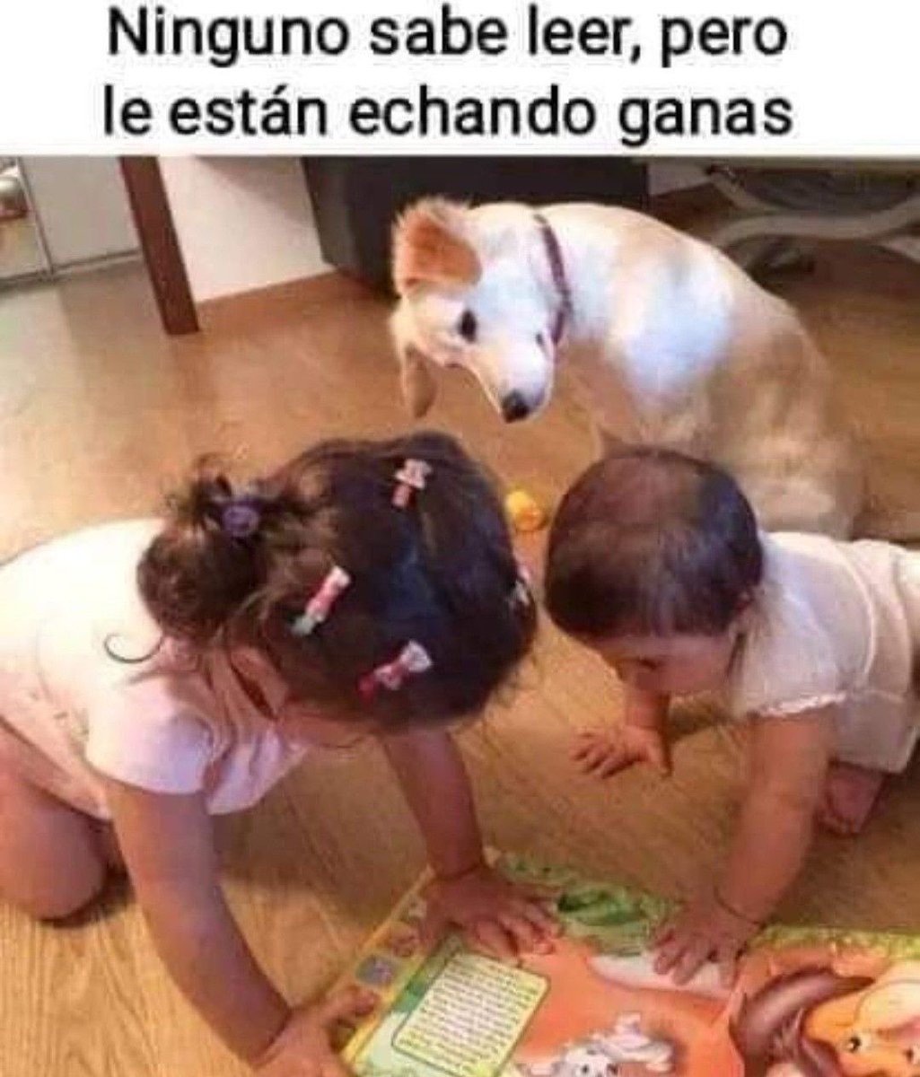 Pero lo bueno que le echan ganas !!