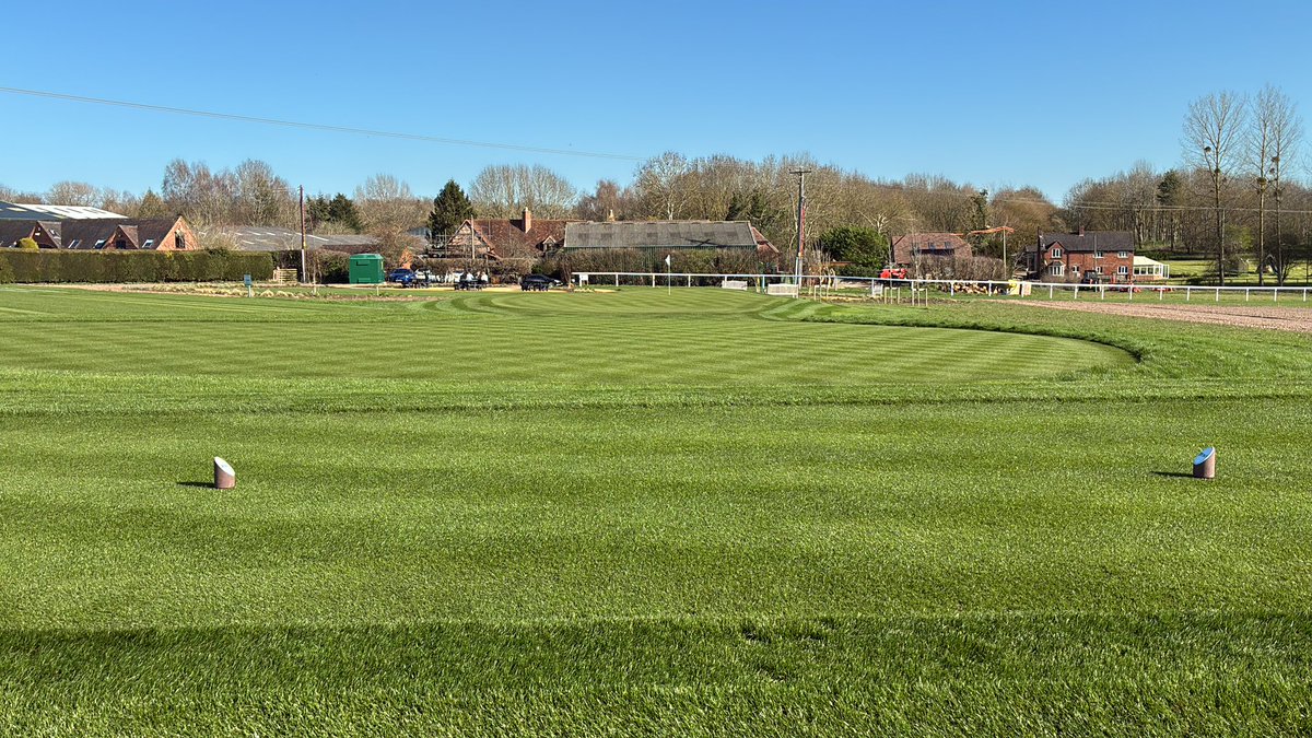 Johnsons Sports Seed tweet media